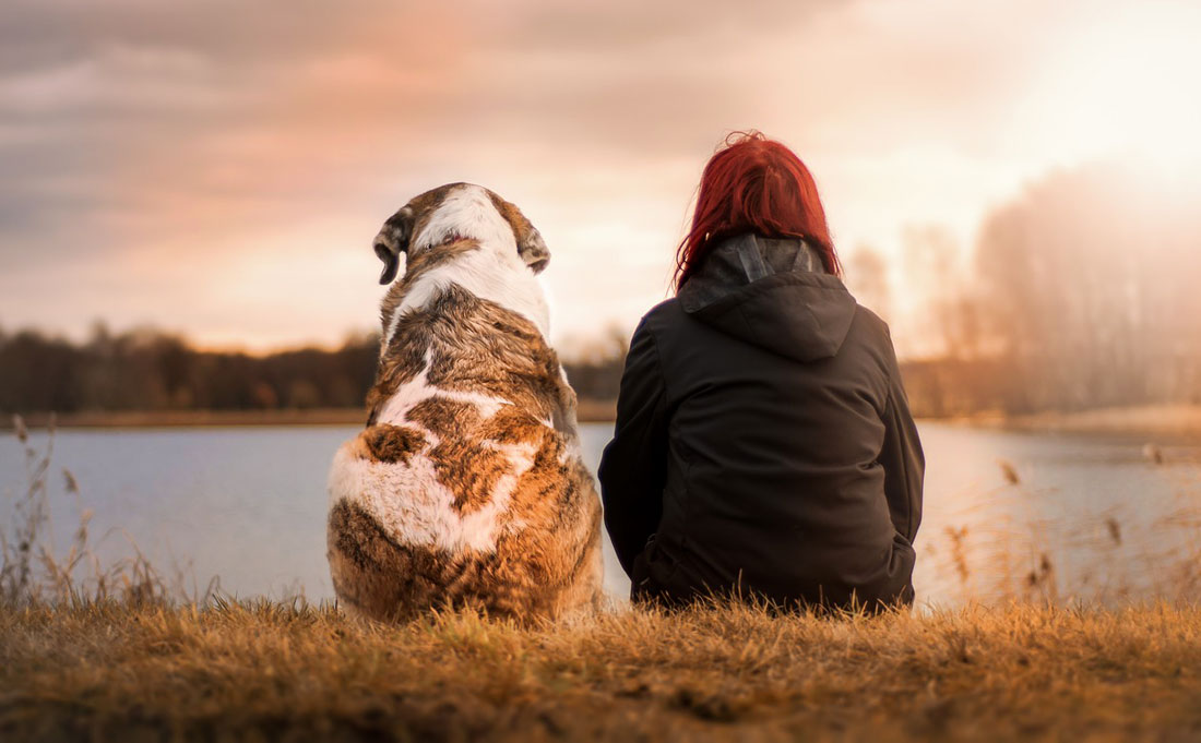 Shamanic Healing for Pets