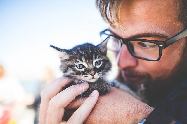 Shamanic Healing for Pets: Comforting Animal Connections