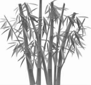 Nature's Symbols for Survivor - Bamboo