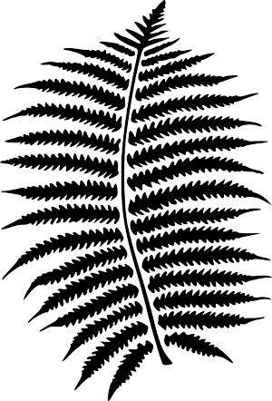 Nature's Symbols for Survivor - Fern