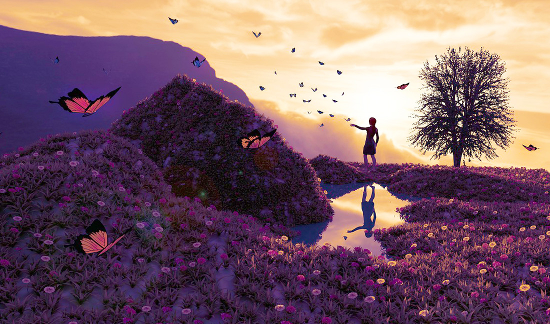 Dreaming of Butterflies Symbolic Meaning of Butterfly Dreams by