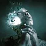 Dreaming of Butterflies and Butterfly Dream Meaning
