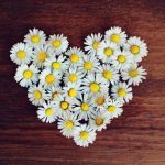 Daisy Love Meanings