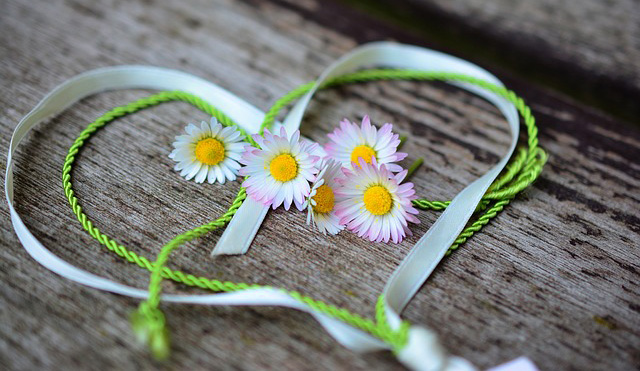 Daisy Meaning as a Love Symbol