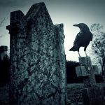 Interpreting Dead Crow Meaning
