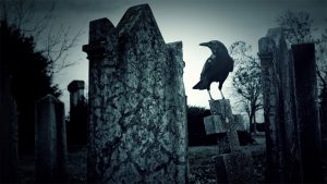 Interpreting Dead Crow Meaning