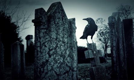 Interpreting Dead Crow Meaning
