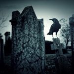 Interpreting Dead Crow Meaning