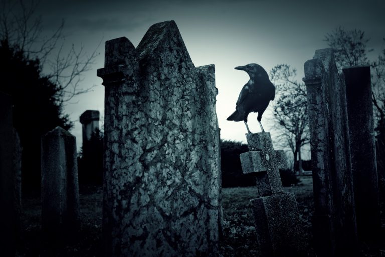 Interpreting Dead Crow Meaning | Symbolism of the Death of a Crow | by