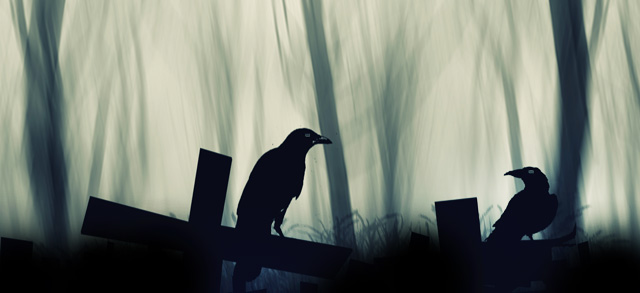 Interpreting Dead Crow Meaning