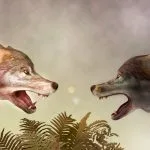 Story of Two Wolves Meaning