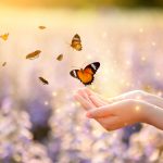 Butterfly Messages of Love