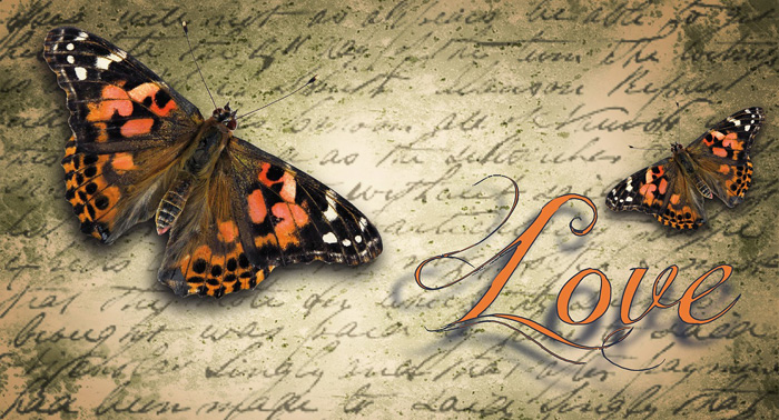Symbolic Butterfly Love Messages