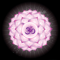 Chakra Flower Associations