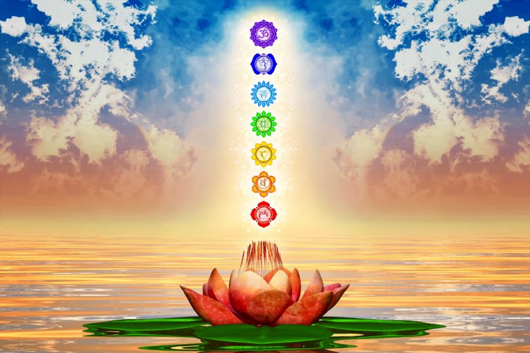 Flowers Associated With Chakras Flowers and Chakra Meanings