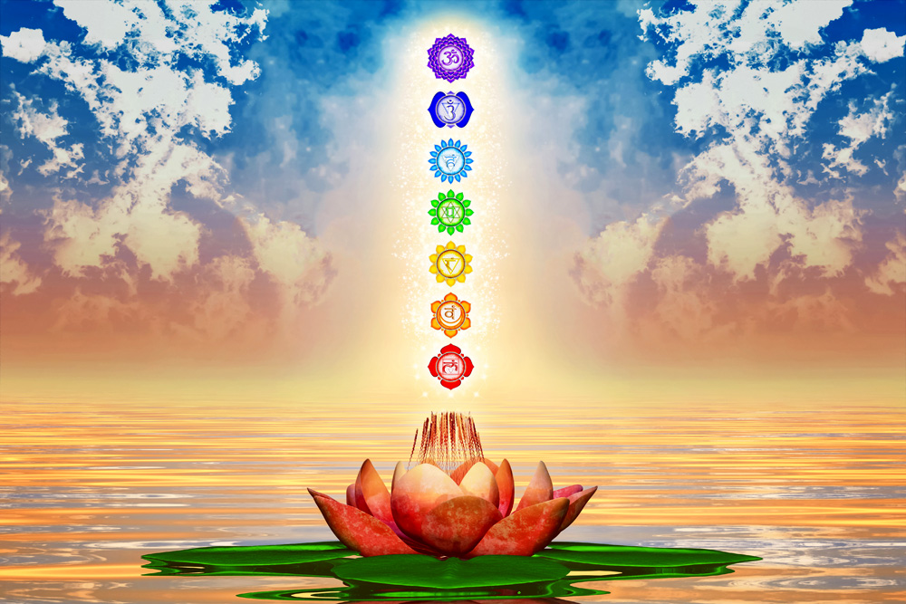 How Does Your Chakra Garden Grow? Chakra Flower Associations