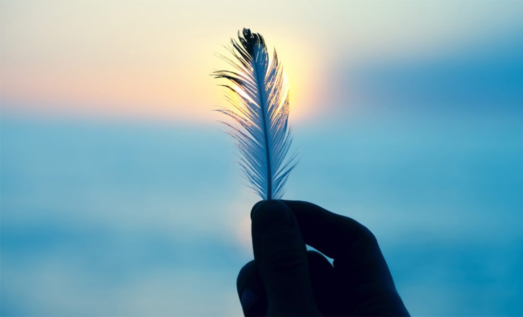 Finding Feathers Meaning of Finding Feathers WhatsYourSign