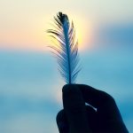 Meaning of Finding Feathers