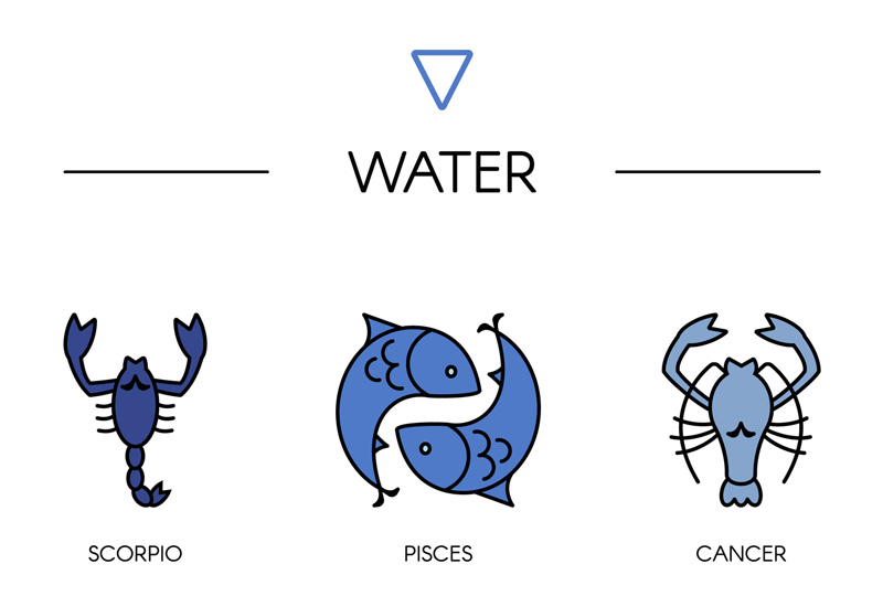 Family Zodiac Guide - Water Signs