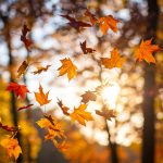 Autumn Symbolism and the Spiritual Meaning of Fall Season