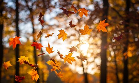 Autumn Symbolism and the Spiritual Meaning of Fall Season