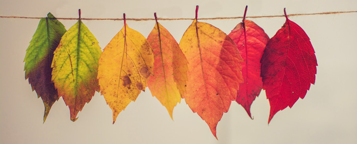 About Autumn Symbolism