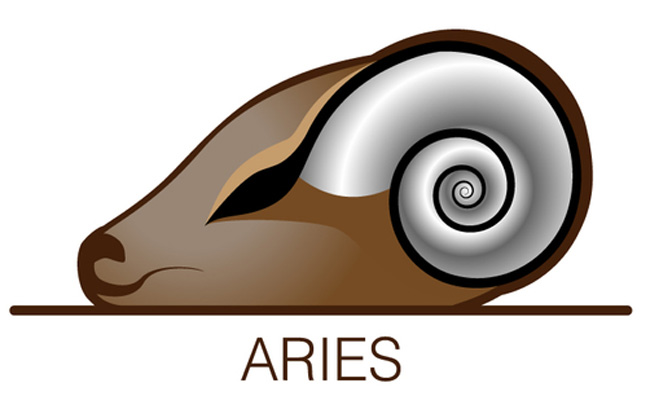 The Aries Student