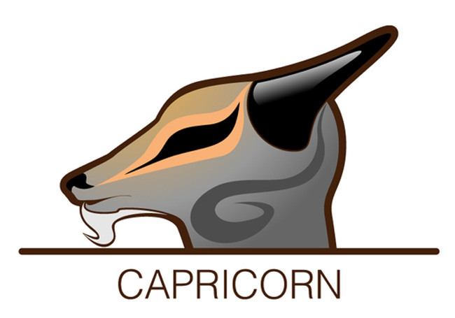 The Capricorn Student