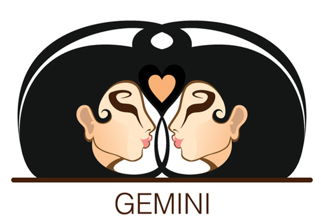 The Gemini Student