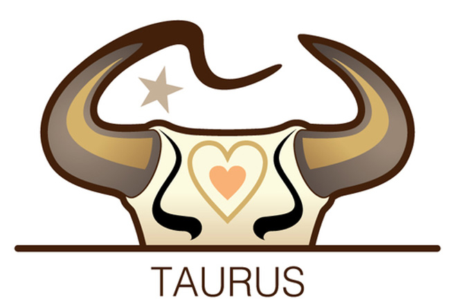 The Taurus Student