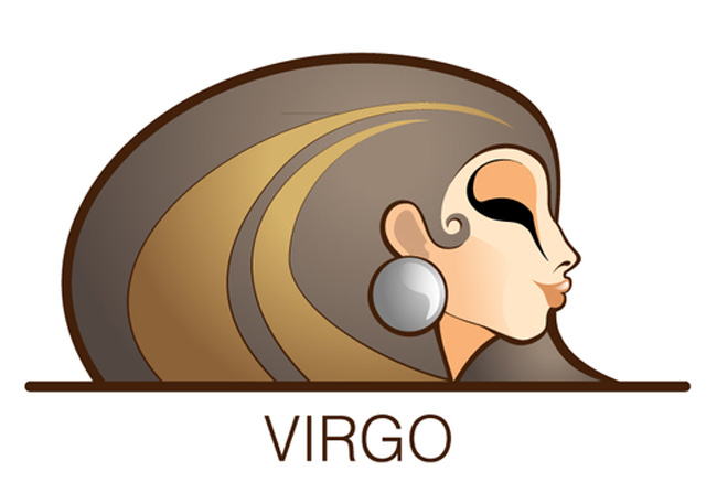The Virgo Student