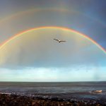Symbolism of Rainbows and Starting Over