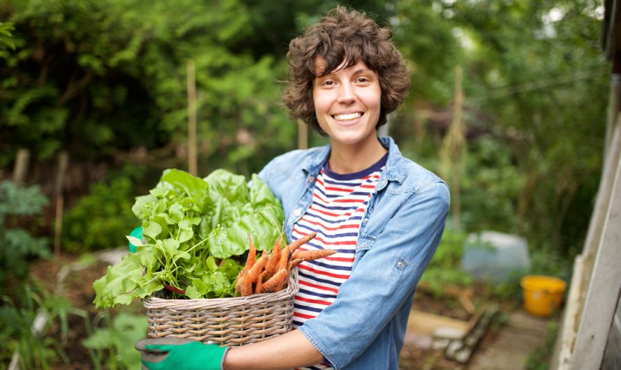Growing a Garden to Boost Your Mental Health