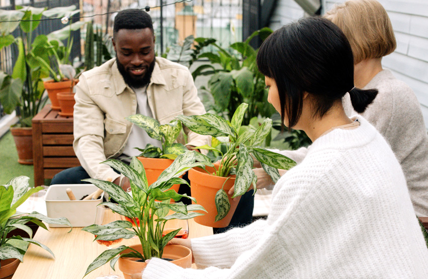 Growing a Garden to Boost Mental Health