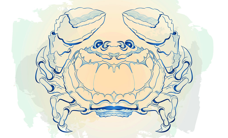 Zodiac Signs That Make The Best Teachers - Cancer