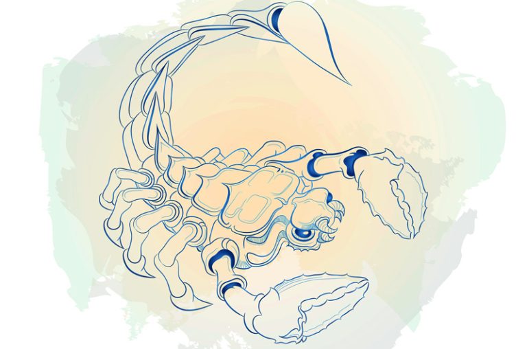 7 Zodiac Signs That Make the Best Teachers