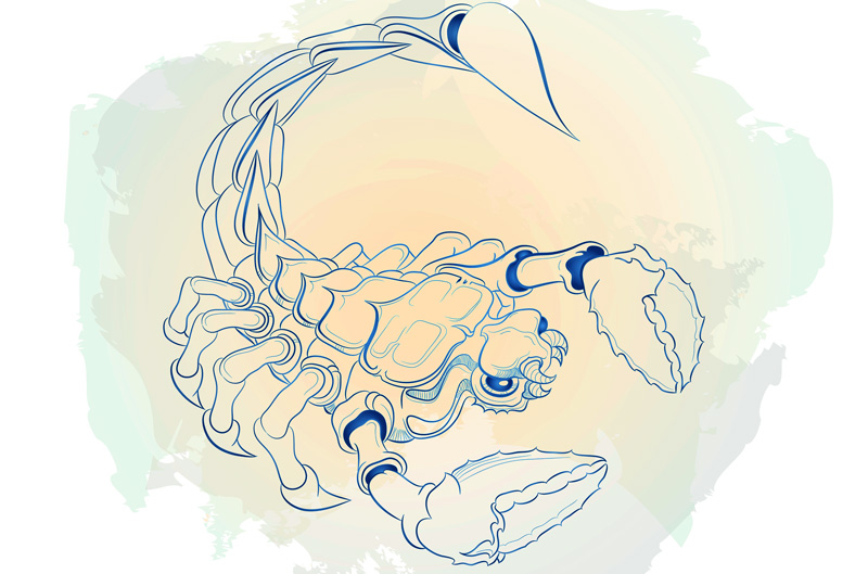 Zodiac Signs That Make The Best Teachers - Scorpio