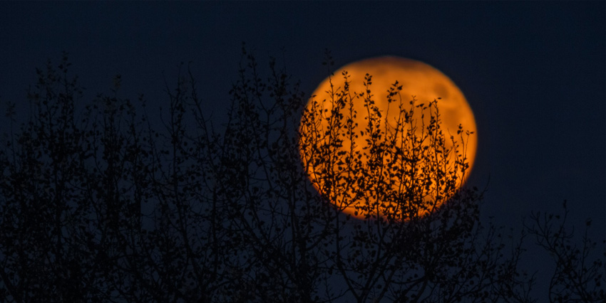 Full Moon of May Meaning