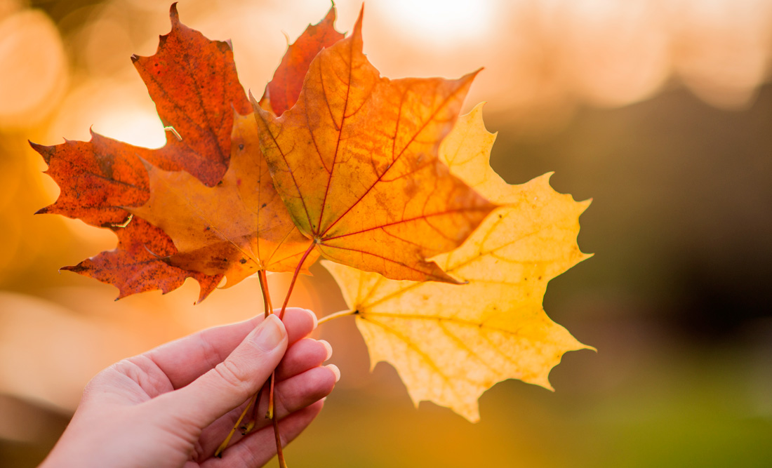 Celebrating the Autumnal Equinox