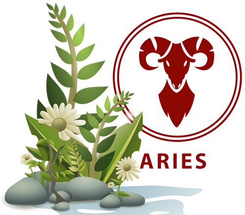 Best Houseplants According to Your Astrology Sign - Aries