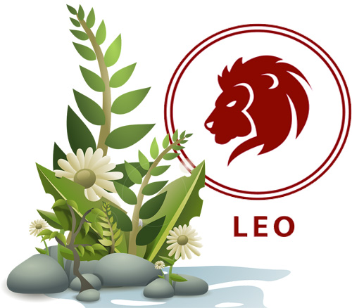 Best Houseplants According to Your Astrology Sign - Leo