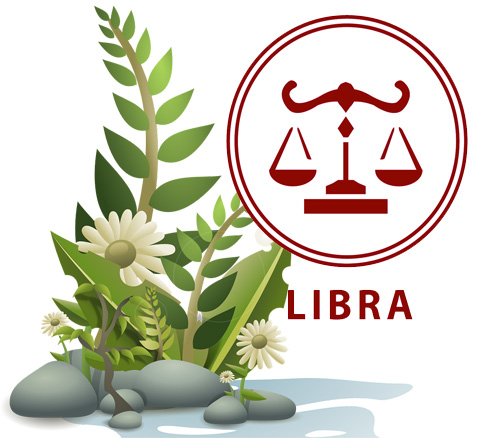 Best Houseplants According to Your Astrology Sign -Libra