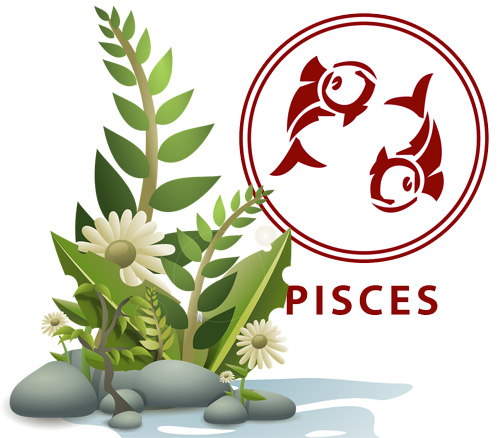 Best Houseplants According to Your Astrology Sign -Pisces