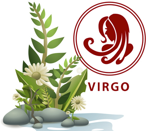 Best Houseplants According to Your Astrology Sign - Virgo