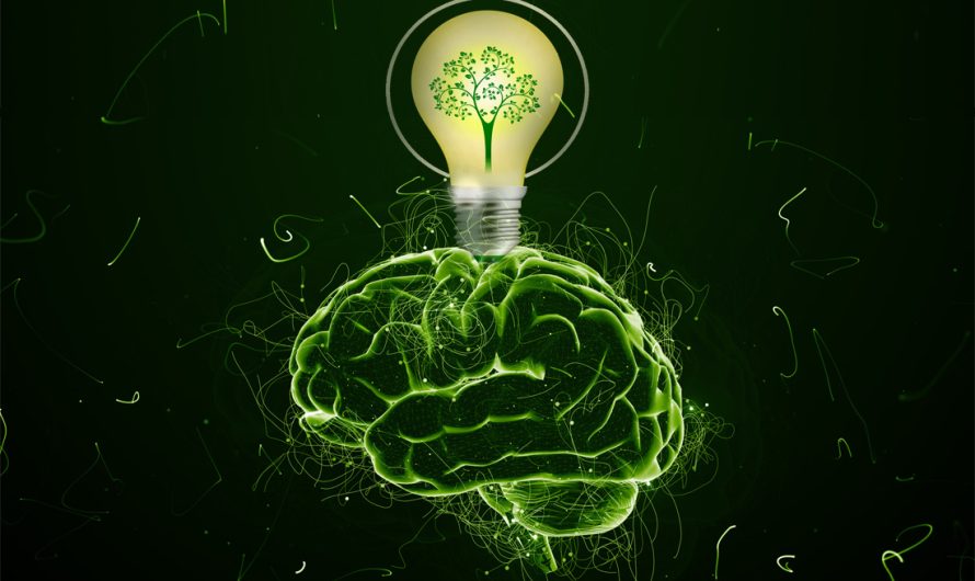 Ways to Become More Green-Minded