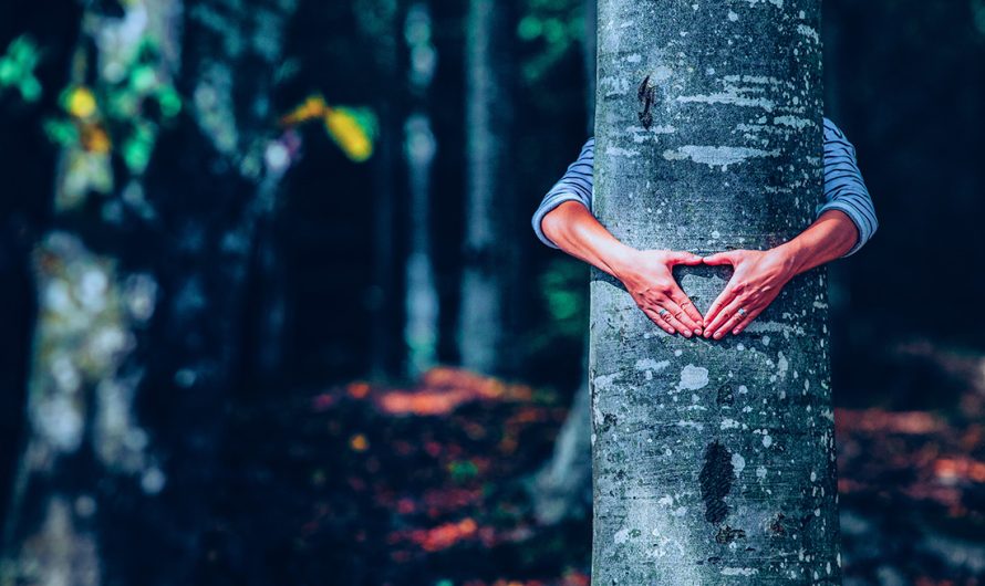 4 Ways To Feel More in Touch With Nature