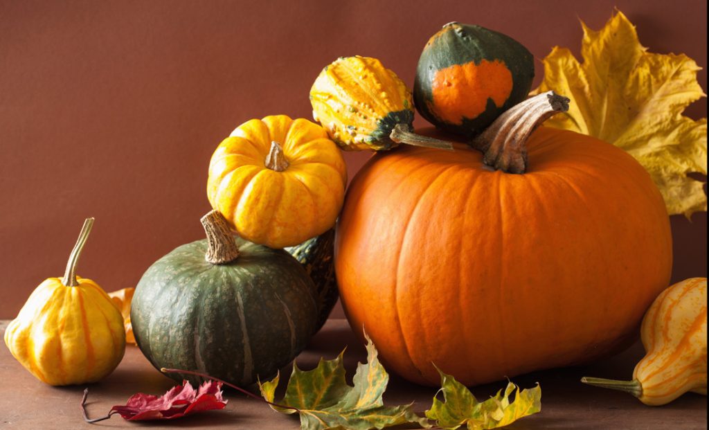 Symbolic Meaning of Pumpkins