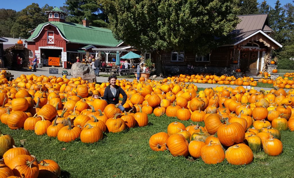 Symbolic Meaning of Pumpkins Avia in Pumpkin Patch