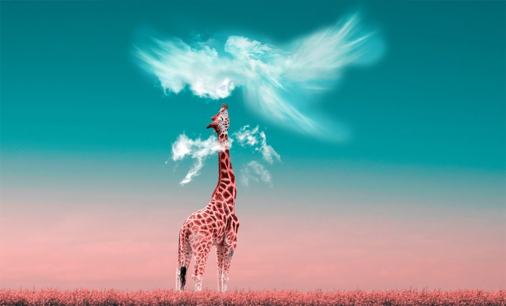 Do Animals Have Guardian Angels?