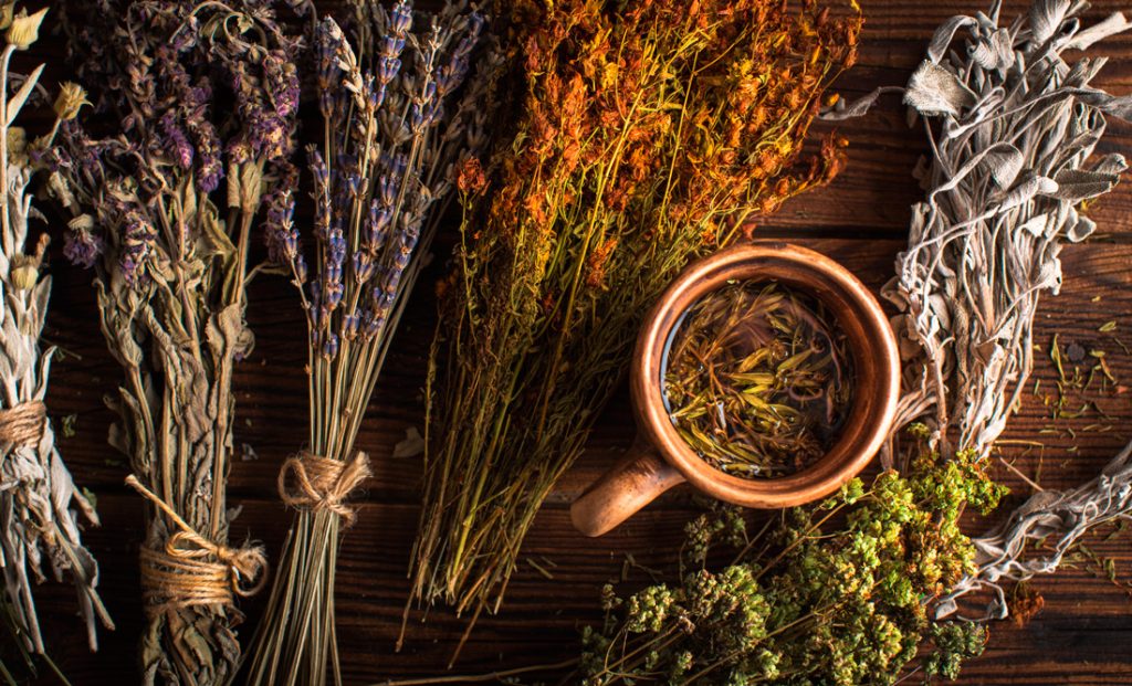 Herbs to Help You Relax